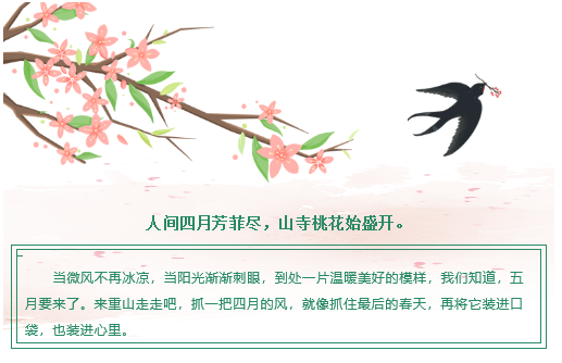 【重山影像】重山芳菲初夏近，萬物逢時皆美好